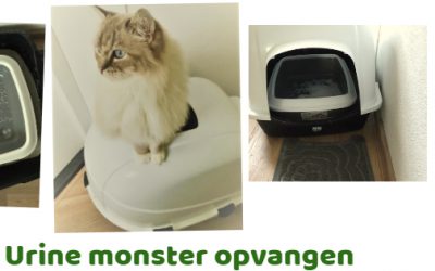 Urine monster opvangen